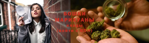 ПСИЛОЦИБИНОВЫЕ ГРИБЫ Козловка