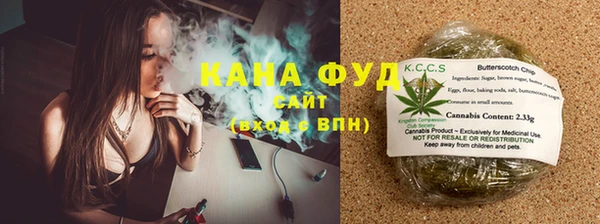 ПСИЛОЦИБИНОВЫЕ ГРИБЫ Козловка