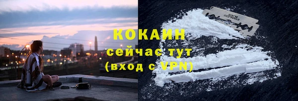 ПСИЛОЦИБИНОВЫЕ ГРИБЫ Козловка