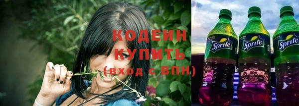 ПСИЛОЦИБИНОВЫЕ ГРИБЫ Козловка