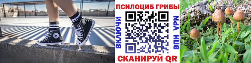 Галлюциногенные грибы мицелий  Долгопрудный 