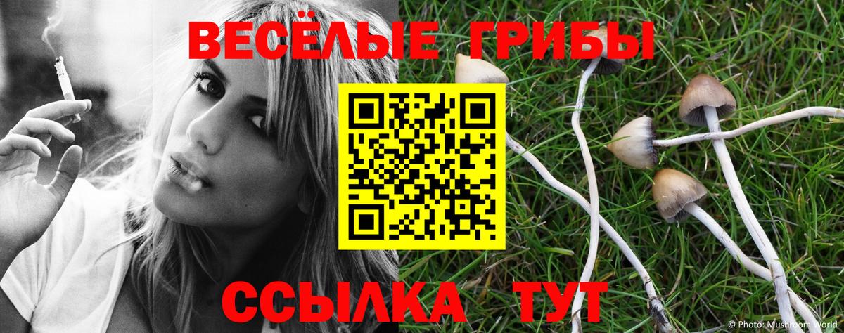 Псилоцибиновые грибы Cubensis Долгопрудный