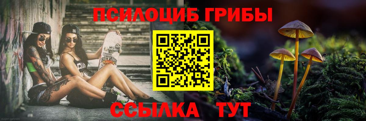 Долгопрудный  Галлюциногенные грибы Cubensis  Вход с VPN 