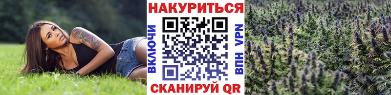 Бошки Шишки марихуана  Долгопрудный 